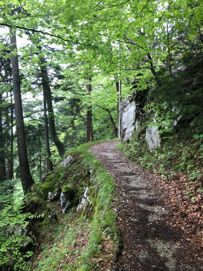 Appartamento Ciao-Aschau Haus Zur Burg Ap112 Burgblick Aschau im Chiemgau Esterno foto