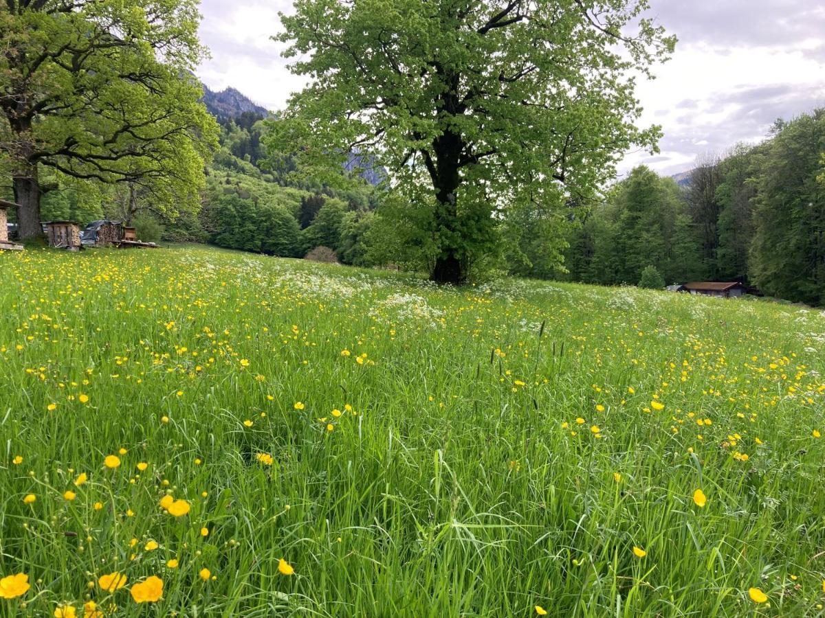 Appartamento Ciao-Aschau Haus Zur Burg Ap112 Burgblick Aschau im Chiemgau Esterno foto