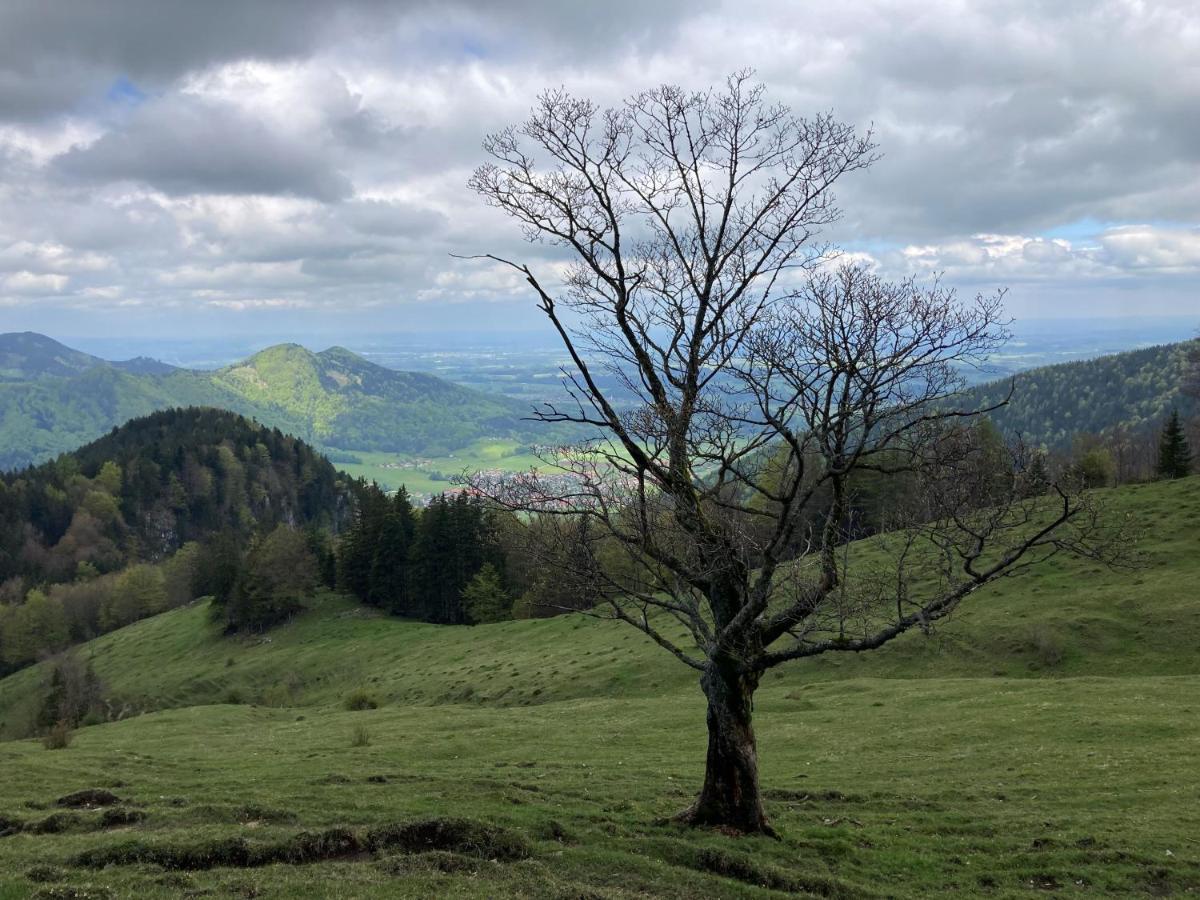 Appartamento Ciao-Aschau Haus Zur Burg Ap112 Burgblick Aschau im Chiemgau Esterno foto